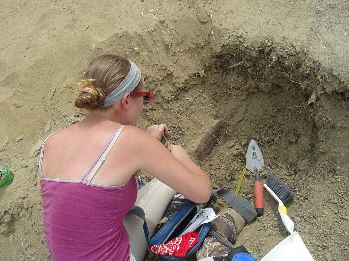 Students participate in a dinosaur-hunting expedition in the Hell Creek Formation in southeastern Montana in the summer of 2012.